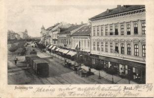 Arad with hairdresser, the iron shop of Károly Andrényi and the shops of Roth and Schäffer