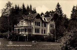 1930 Tobelbad, Gasthof Pension Waldhof / inn, hotel