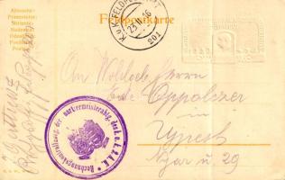 1916 Winterfeldzug 1914-15 in den Karpathen. Viribus Unitis. Die 2. Armee den Invaliden und den Witw...