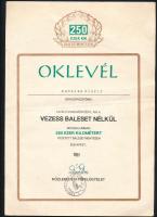 1991 Bp., 250 ezer kilométer balesetmentes vezetésért adományozott oklevél, hajtásnyommal, kisebb gy...