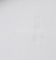 cca 1870-1880, A Herendi Viktória mintát utánzó, Hausmaler Karl Anton által festett 6 darabos mélyít...