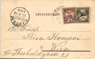 1902 Alvinc, Vintu de Jos; Maros komp / Mures river ferry