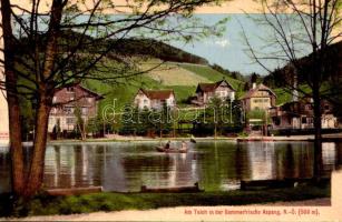 1910 Aspang, Am Teich in der Sommerfrische / lake, villa