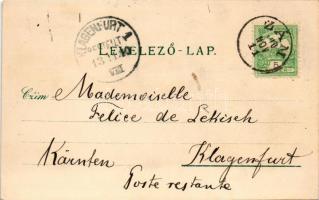 1900 Szászrégen, Reghin; Haupteingang zum Stadtpark, Festhalle. Gustav Rösler No. 1798. / főbejárat ...