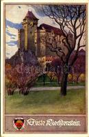 ~1925 Maria Enzersdorf, Schloss Liechtenstein / castle. Deutscher Schulverein Karte Nr. 164. (EK)