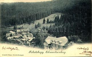 1900 Feketehegyfürdő, Feketehegy, Cernohorské kúpele (Merény, Vondrisel, Nálepkovo); látkép. Kiadja Schmidt Edgar / general view (EK)