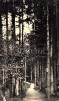 1915 Feketehegy-fürdő, Feketehegy, Schwartzenberg, Cernohorské kúpele (Merény, Vondrisel, Nálepkovo); Erdei sétány. Korbasz Vilma kiadása / forest promenade, spa + K.u.K. MILITARZENSUR SITZ DER KOMMISSION: KASSA (EK)