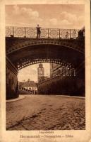 1913 Nagyszeben, Hermannstadt, Sibiu; Liegenbrücke / híd / bridge (ázott / wet damage)