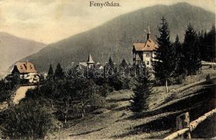 1911 Fenyőháza, Lubochna; nyaralók. Kiadja Feitzinger Ede / villas