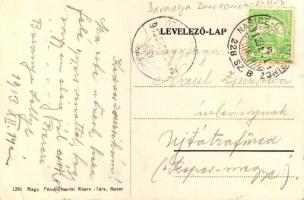 1913 Sellye, Gróf Draskovich kastély + "NASICE - B.-SZT.-LŐRINCZ 228. SZ. B" vasúti mozgóp...