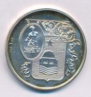 DN "Szentendrei Emlék / BÁV" Ag emlékérem (16g/0.925/32mm) T:AU patina