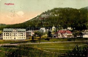 1912 Fenyőháza, Lubochna; látkép. Kiadja Holczmann Izidor / general view (EK)