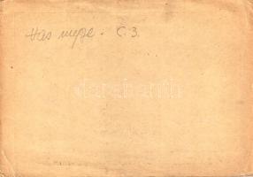 Jánosháza, Kis Horváth János költő és zenészcsaládja, darutollas fiúk. Martincsevics K. kiadása (non...