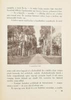 Erdősi Károly: Napsütéses Indiában. Úti emlékek. Bp.,(1927), Szent István-Társulat. Fekete-fehér szö...