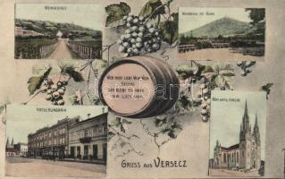 Versec Hotel Hungaria and wineyards