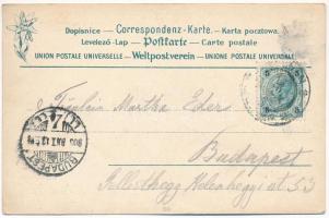 1903 Cieszyn, Teschen; Demelplatz / square, market, shop of Karl Prochaska. Ed. Feitzinger's Ku...
