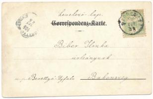 1905 Ilz (Steiermark), Karl Zeiler's Handlung, Innere Hauptstrasse / general view, main street,...