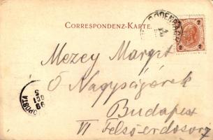 1899 (Vorläufer) Decín, Tetschen; Schloss Tetschen, Nordbahnbrücke, Havarie an der Nordbahnbrücke / ...