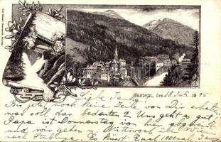 1895 (Vorläufer!!!) Bad Gastein, general view. Karl Stücker's Kunstanstalt Art Nouveau, floral (EK)