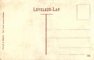 Diósgyőr (Miskolc), vár romjai. Ferenczi B. kiadása, Túry József amateur felvétele (r)