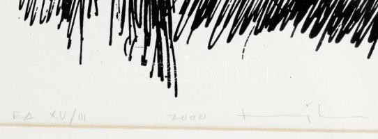 Vigh István (1936-): Japánakác a szarvasi arborétumból. Szitanyomat, papír, jelzett, művészpéldány E...