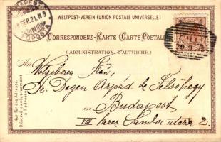 1898 (Vorläufer) Celje, Cilli; general view. Gebr. Künzli Art Nouveau, floral, litho (EK)