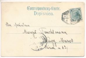 1901 Kozina, Hotel Kozina. Druck v. Kunstanstalt Rosenblatt Art Nouveau, floral, litho (EK)