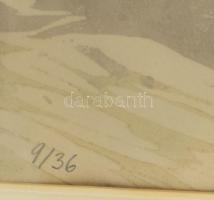 Sajó Gyula (1918-1989): Virágok. Linómetszet, papír. Jelzett. Számozott (9/36). Hátoldalán sussexi m...