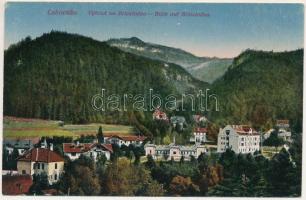 Fenyőháza, Lubochna; Vyhlad na Briestocnu / látkép. Kiadja Izidor Holzmann / general view