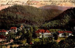 1908 Fenyőháza, Lubochna; látkép / general view (fl)