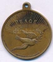 Amerikai Egyesült Államok DN "Béke" kétoldalas bronz emlékérem füllel, "J. Ritchie Ki...