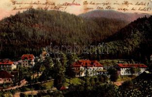 1909 Fenyőháza, Lubochna; látkép / general view (Rb)