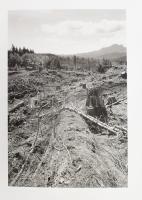 Robert Adams amerikai fotográfus 2 db könyve/albuma: This Day. Photographs from Twenty-Five Years. T...