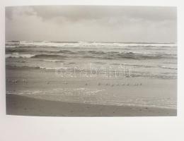 Robert Adams amerikai fotográfus 2 db könyve/albuma: This Day. Photographs from Twenty-Five Years. T...