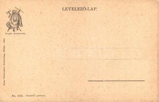 Tátra, Magas Tátra, Vysoké Tatry; Tengerszem-csúcs. Franz Pietschmann No. 1922. / Gipfel der Meeraug...