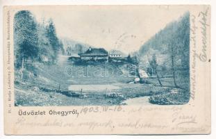 1903 Óhegy, Staré Hory (Besztercebánya, Banská Bystrica); látkép. Kiadja Lechnitzky O. fénynyomdája 31. sz. / general view (szakadások / tears)