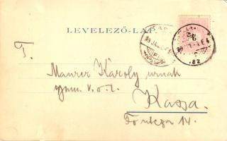 1899 (Vorläufer) Zsolna, Sillein, Zilina; Fő tér, templom. Gansel Lipót kiadása / main square, churc...