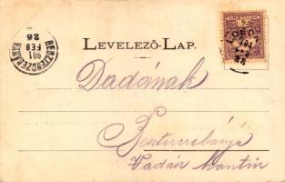 1901 Losonc, Lucenec; látkép. Redlinger Ignác kiadása / general view (EK)