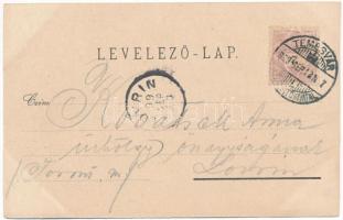 1899 (Vorläufer) Temesvár, Timisoara; Lonovics utca, Múzeum, Temesvári Első Takarékpénztár, Wolf Józ...