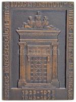 1975. &quot;Országos Közegészségügyi Intézet Budapest 1925-1975, 1945-1975&quot; egyoldalas bronz plakett (67x48mm) T:AU