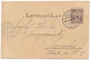 1901 Dés, Dej; Szent Ferencrendiek palotája, Központi kávéház és cukrászda, Milleniumi szobor, Gálóc...