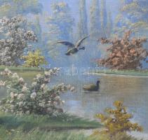 Feleky Zoltán (-), XX. sz. első fele-közepe: Vízparti táj vadkacsákkal. Olaj, vászon, jelzett. Dekor...