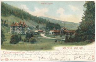 1908 Iglófüred, Bad Zipser Neudorf, Spisská Nová Ves Kupele, Novovesské Kúpele; Hungária villa. Feitzinger Ede 1903/13. 540. Auto-Chrom / Villa Hungária (EK)