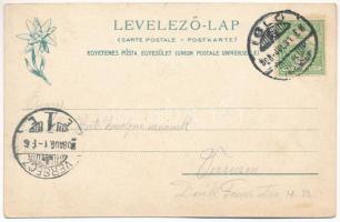 1908 Iglófüred, Bad Zipser Neudorf, Spisská Nová Ves Kupele, Novovesské Kúpele; Hungária villa. Feit...