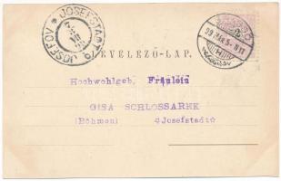 1899 (Vorläufer) Brassó, Kronstadt, Brasov; Korcsolyázó egylet korcsolyázó tere télen / ice skating ...