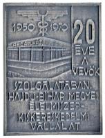 1970. &quot;20 éve a vevők szolgálatában Hajdu-Bihar Megyei Élelmiszer Kiskereskedelmi Vállalat&quot; egyoldalas ezüstözött bronz emlékplakett, eredeti dísztokban (78x60mm) T:AU