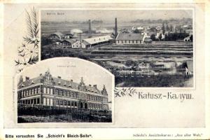 Kalush, Kalusz; Salina, Szkola / salt mine, school. Schicht's Bleich-Seife, Schicht's Ansichtskarten: Aus aller Welt, Kunstdruck E. Rennert Art Nouveau, floral (EB)