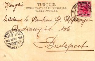 1906 Constantinople, Istanbul; Intérieur de la Mosquée Suleymanié / Süleymaniye Mosque interior (tea...