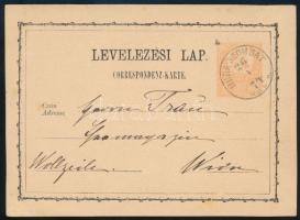 1874 Díjjegyes levelezőlap MURA-SZOMBAT VAS M. (Gudlin 250 pont) - Wien