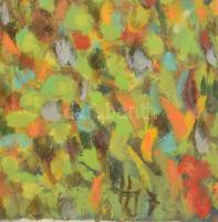 Olvashatatlan jelzéssel: Színes táj. Olaj, vászon. 60x80 cm